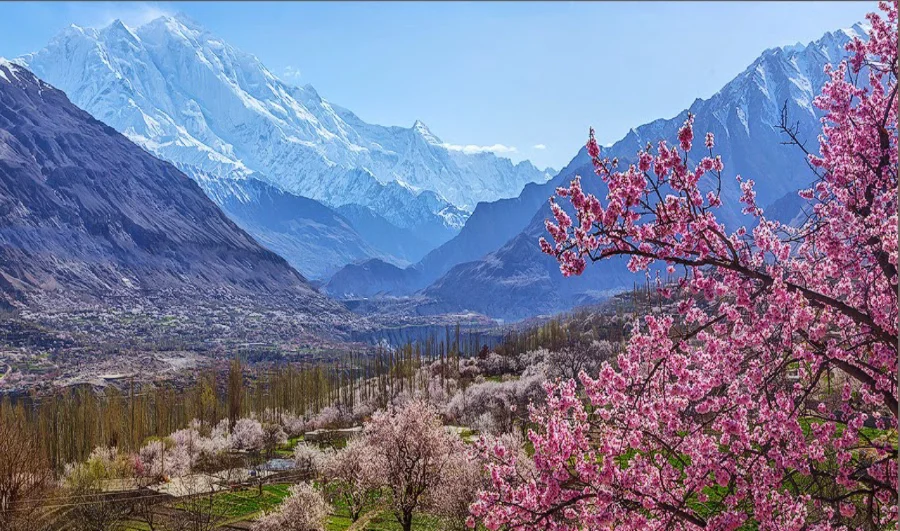 Hunza Valley Blossom Tours