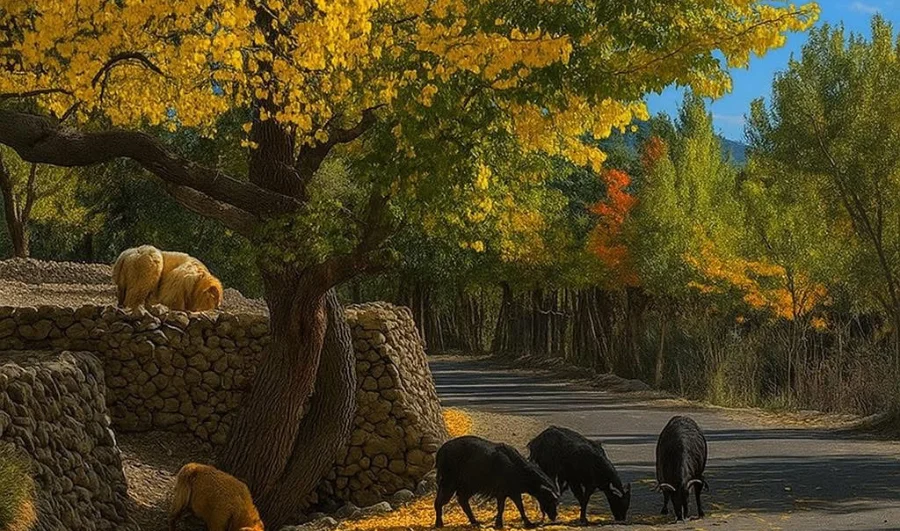 Islamabad Gilgit Hunza Skardu Tours