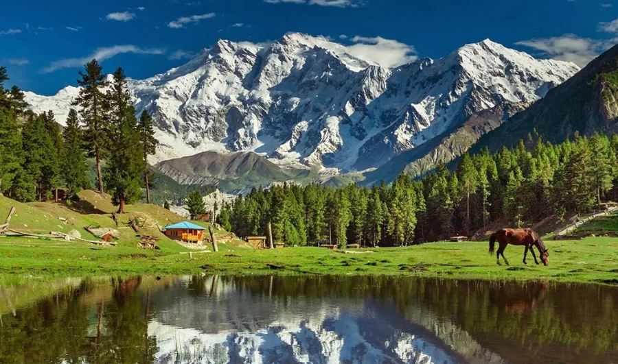 fairy meadows pakistan
