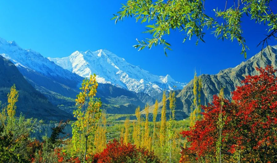 Rakaposhi