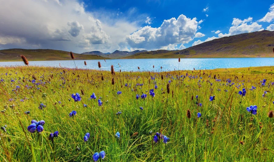 Skardu Baltistan Deosai Kalash
