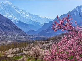 Hunza Valley Blossom Tour