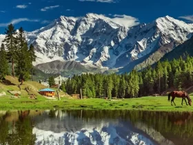 fairy meadows pakistan