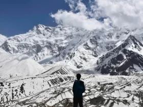 Nanga Parbat Fairy Medow Trek