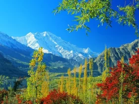 Rakaposhi
