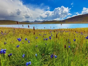 Skardu Baltistan Deosai Kalash